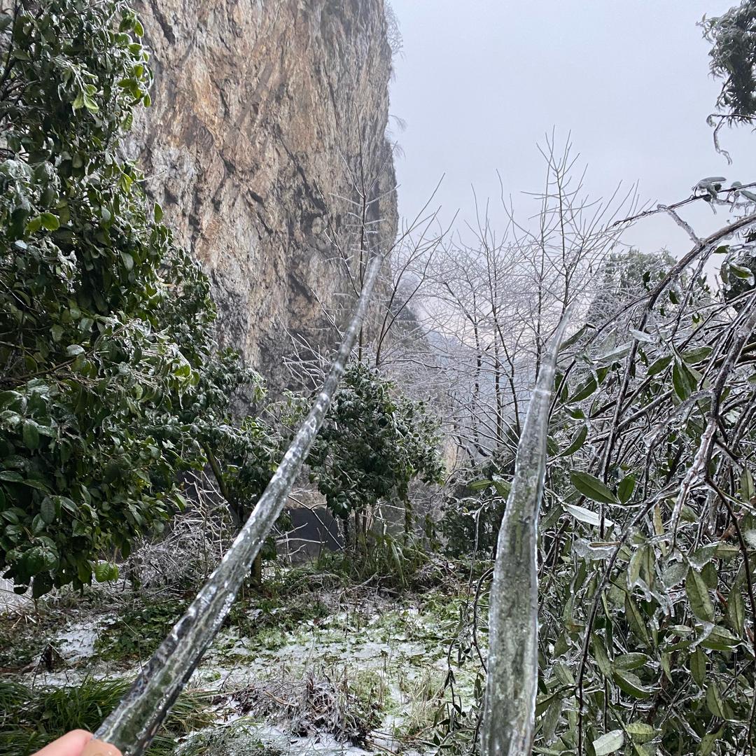 易定飞