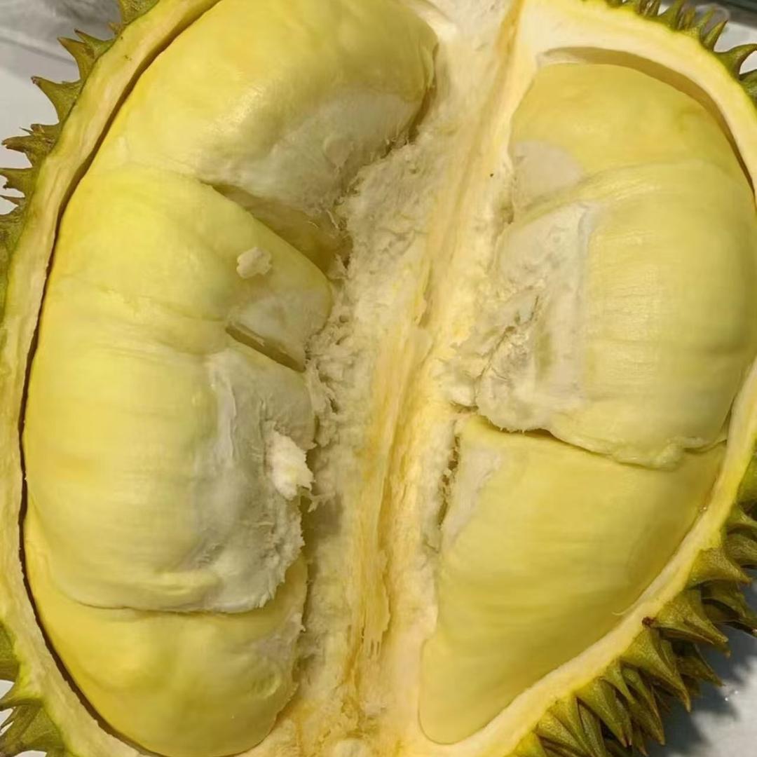 榴莲世界小时达1