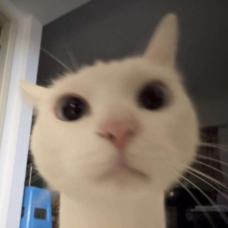 ?