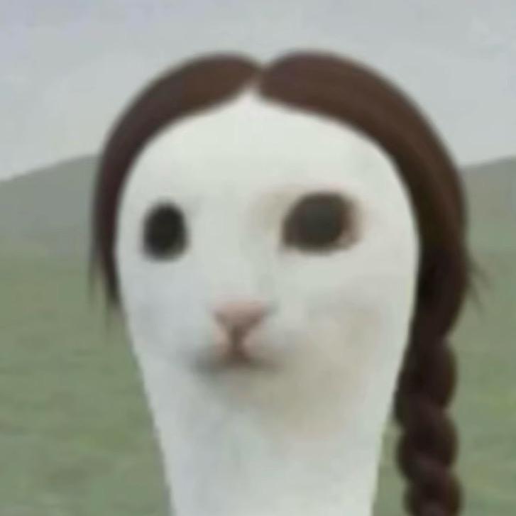 灯灯-