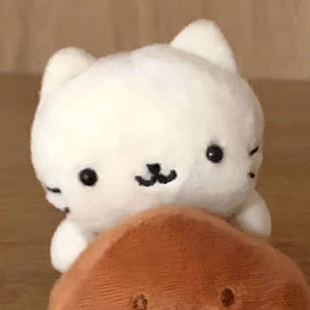 掌心脆的魔法使