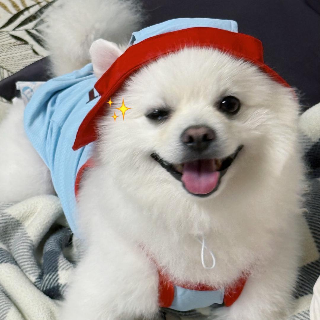 比奇堡邮递员🌱