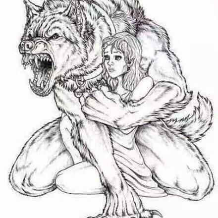 孤狼🐺