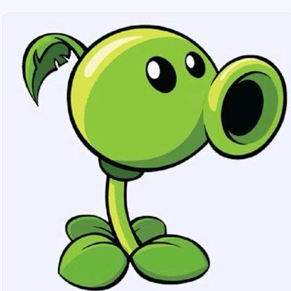 🟢🟢🟢🟢🟢🟢🟢🟢