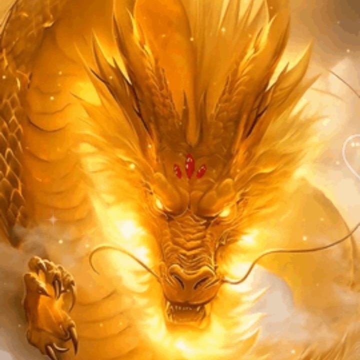 万福金安🐉