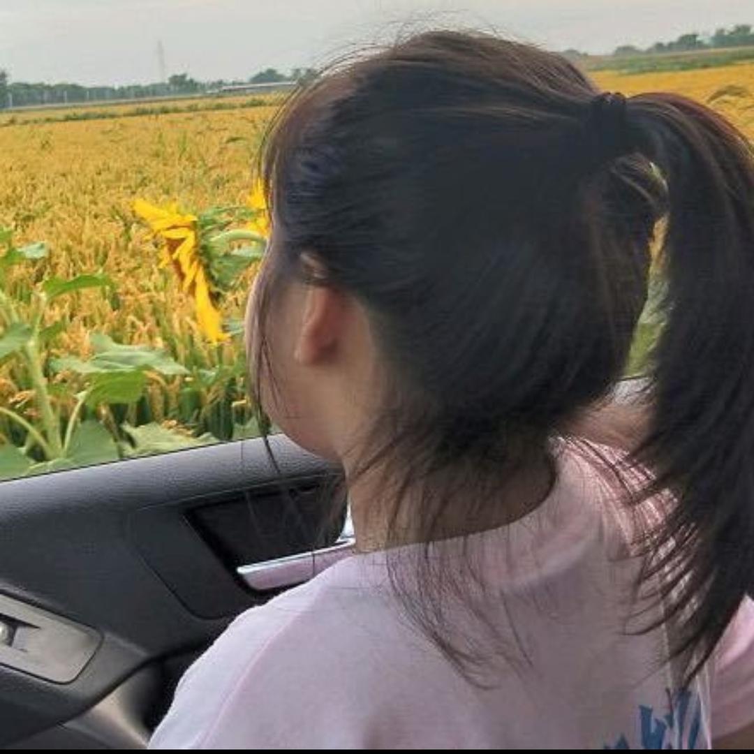 何以解忧এ