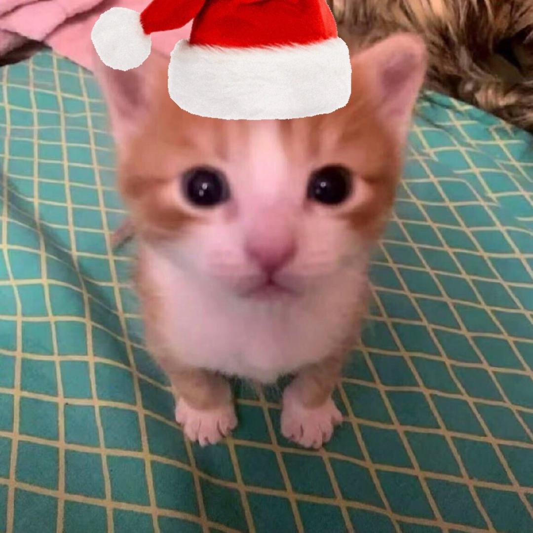 （๑⁃̀ω⁃́๑）