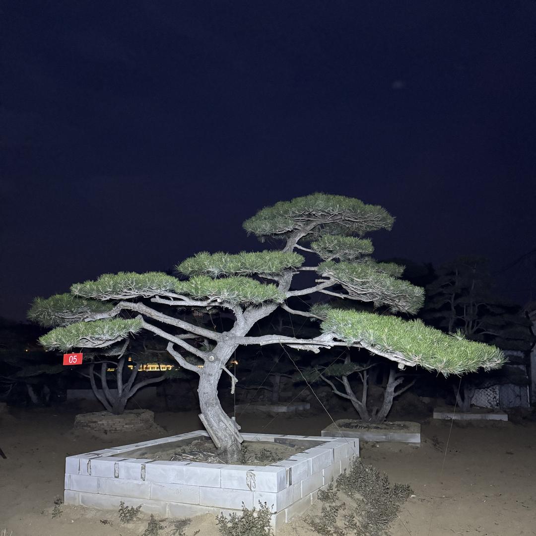 泰安市润景松园