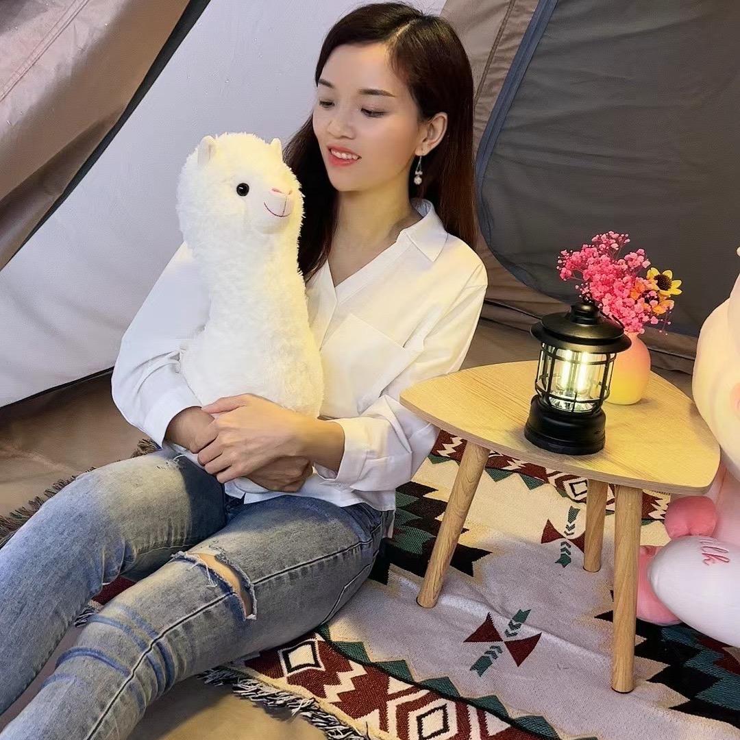 阿狸小布丁，（原名人间四月天）