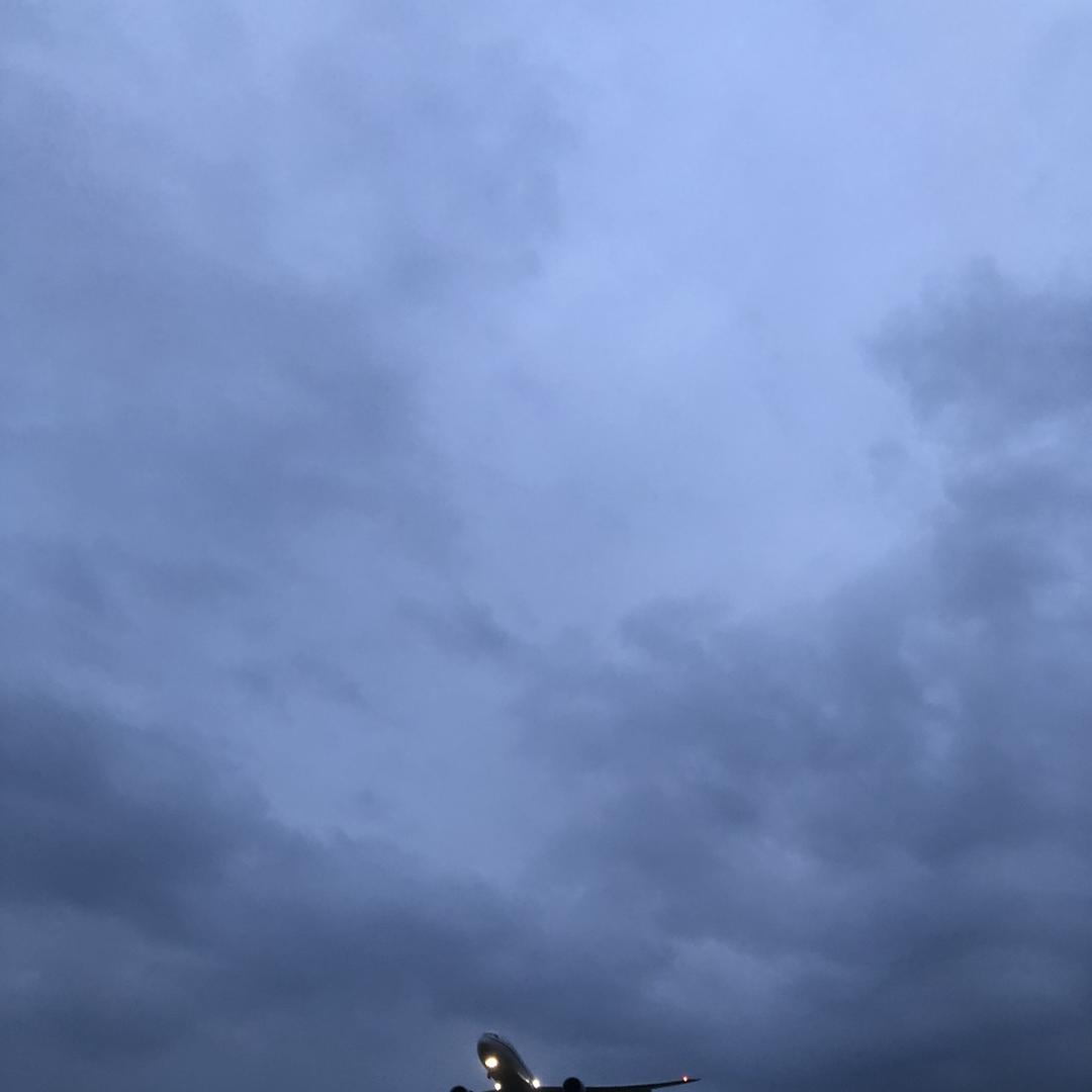 奈斯国潮风格设计-卢冰老师