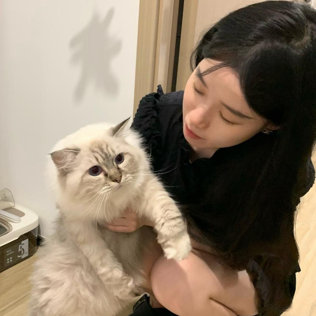 蛋挞脑袋