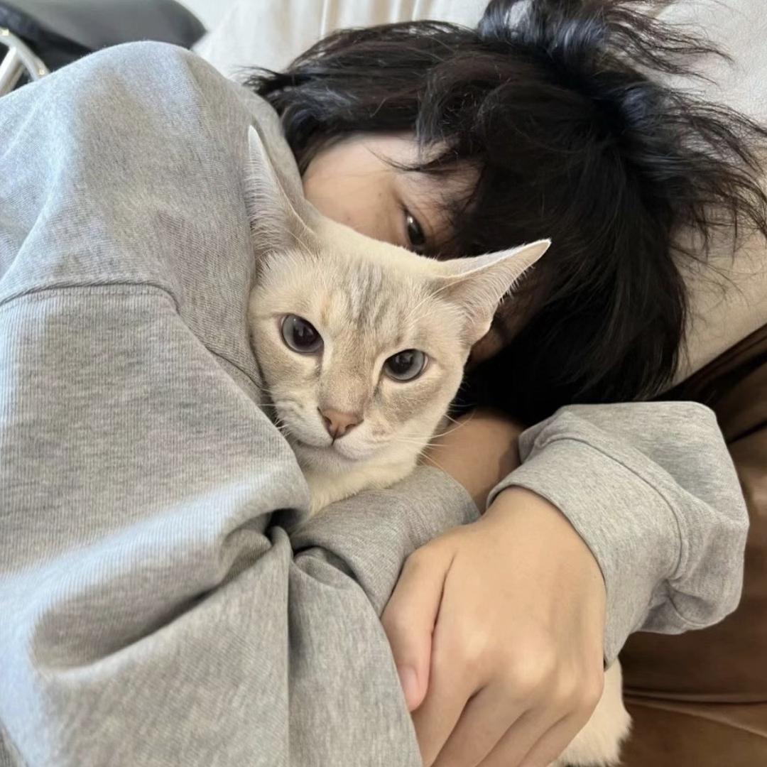 猫（辟谷太大怎么办）