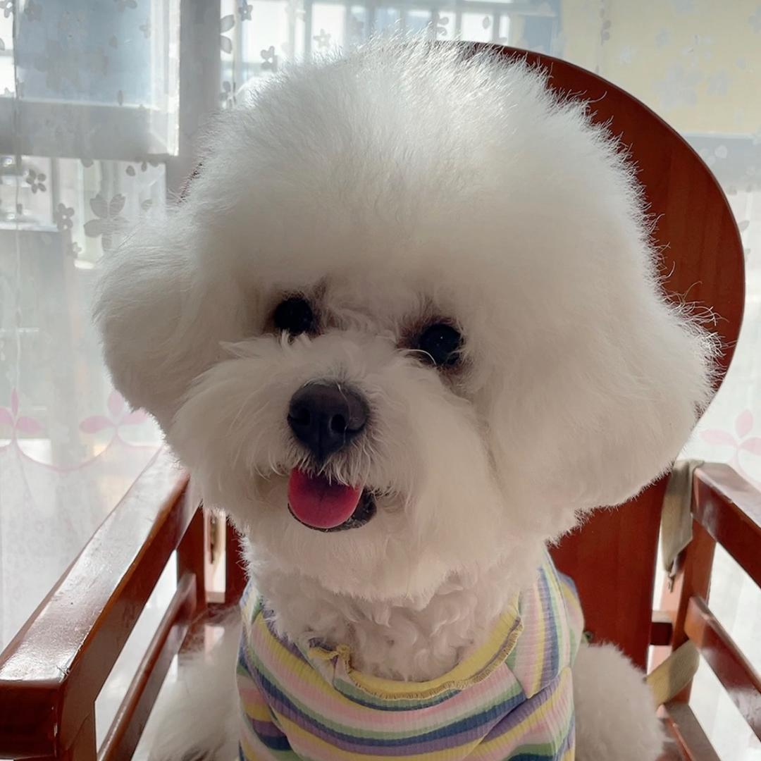小萌萌的家