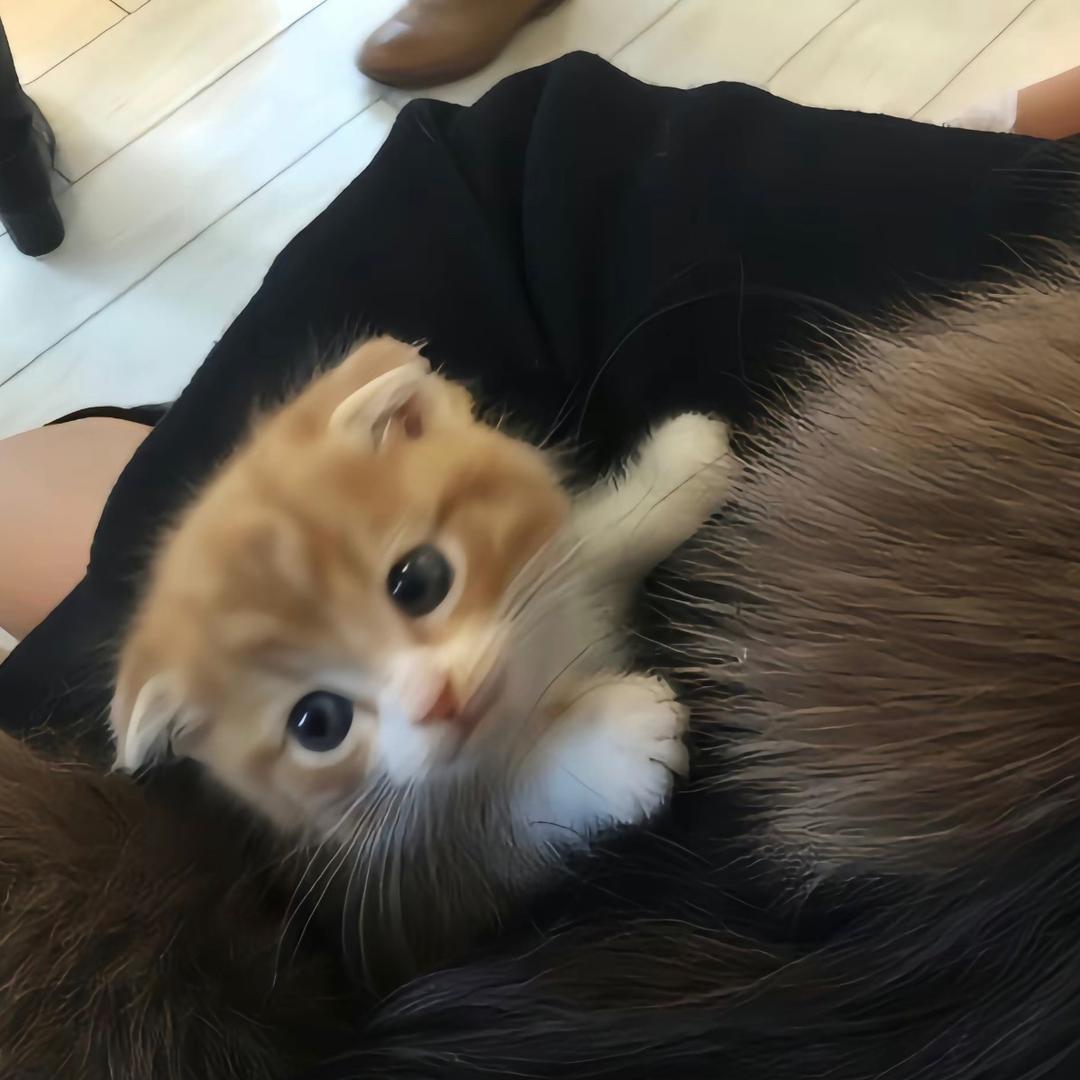 7110