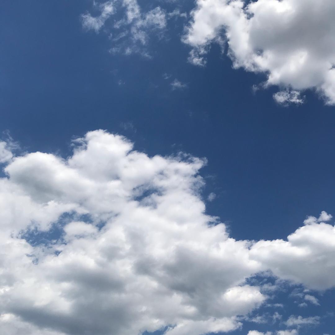 心灵•之约