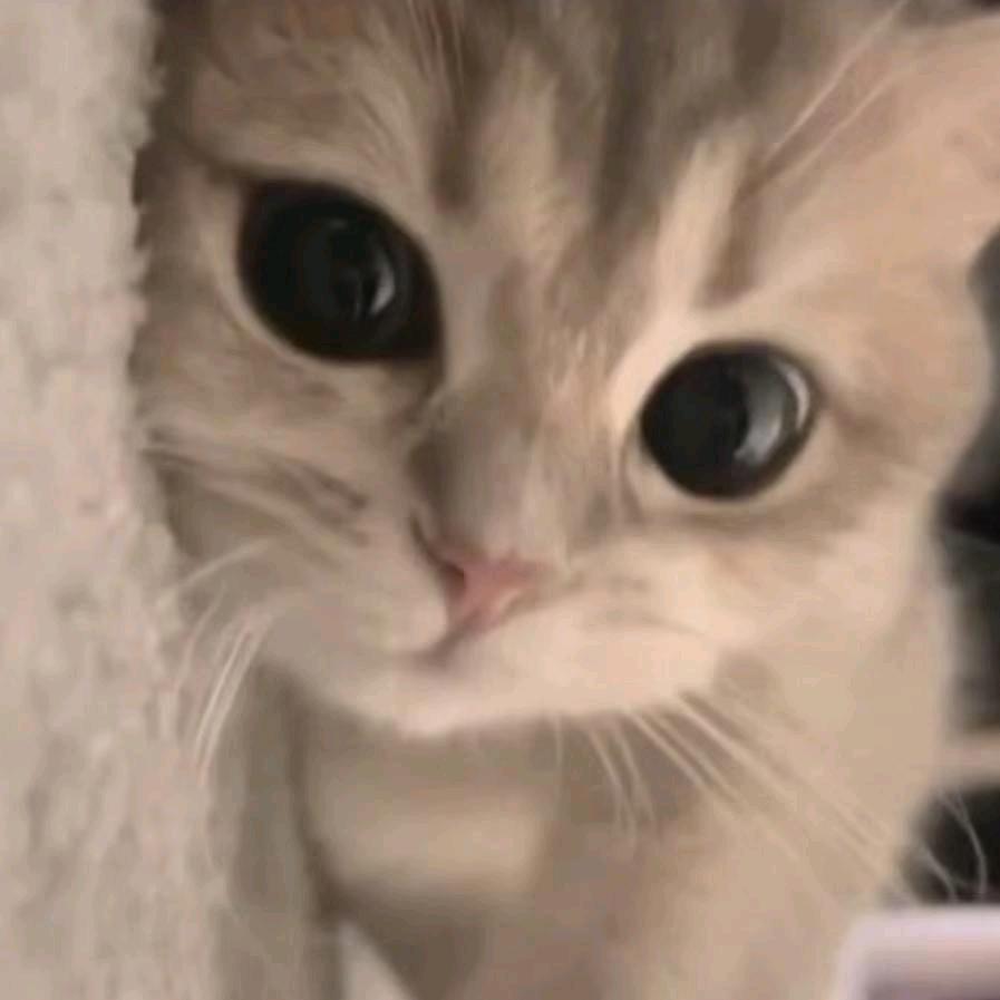 aki