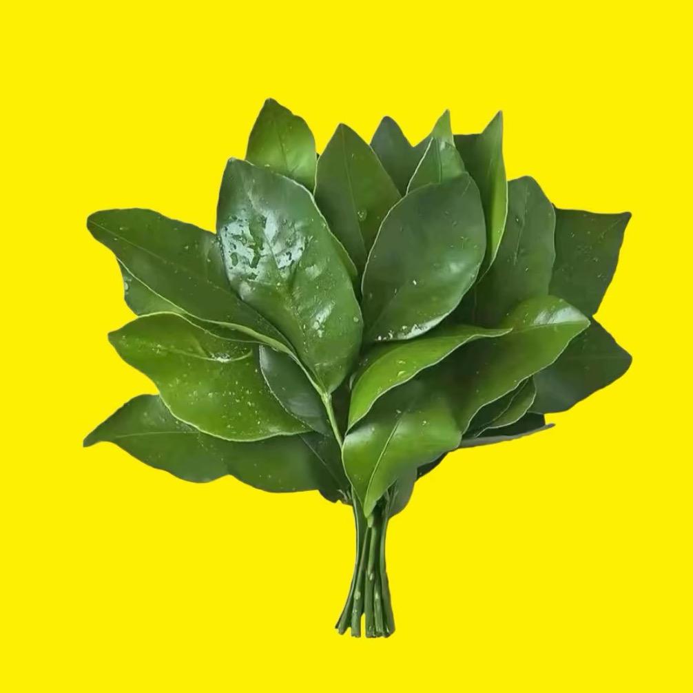 不吃饼