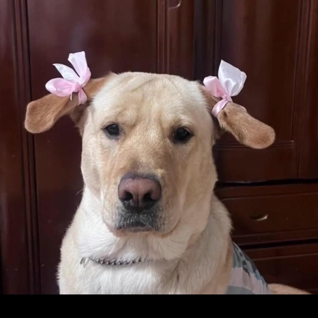 刚好遇见你🏸️