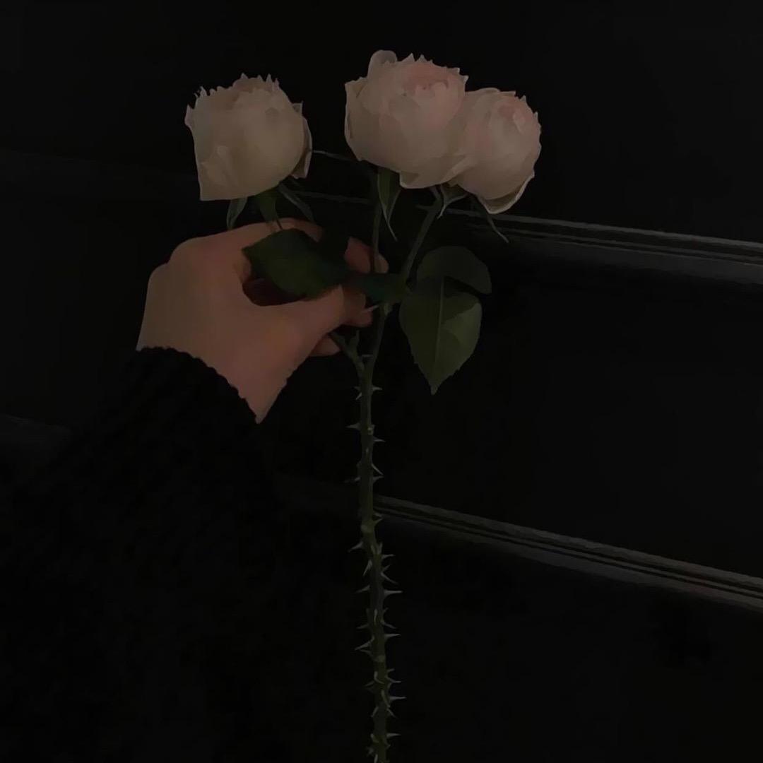 🥀、