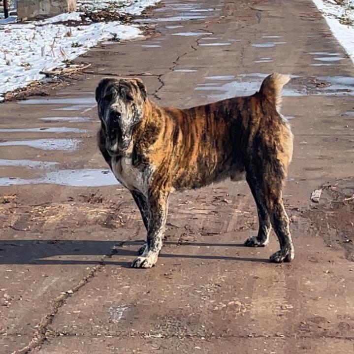 邯郸天蓝中亚（高端）