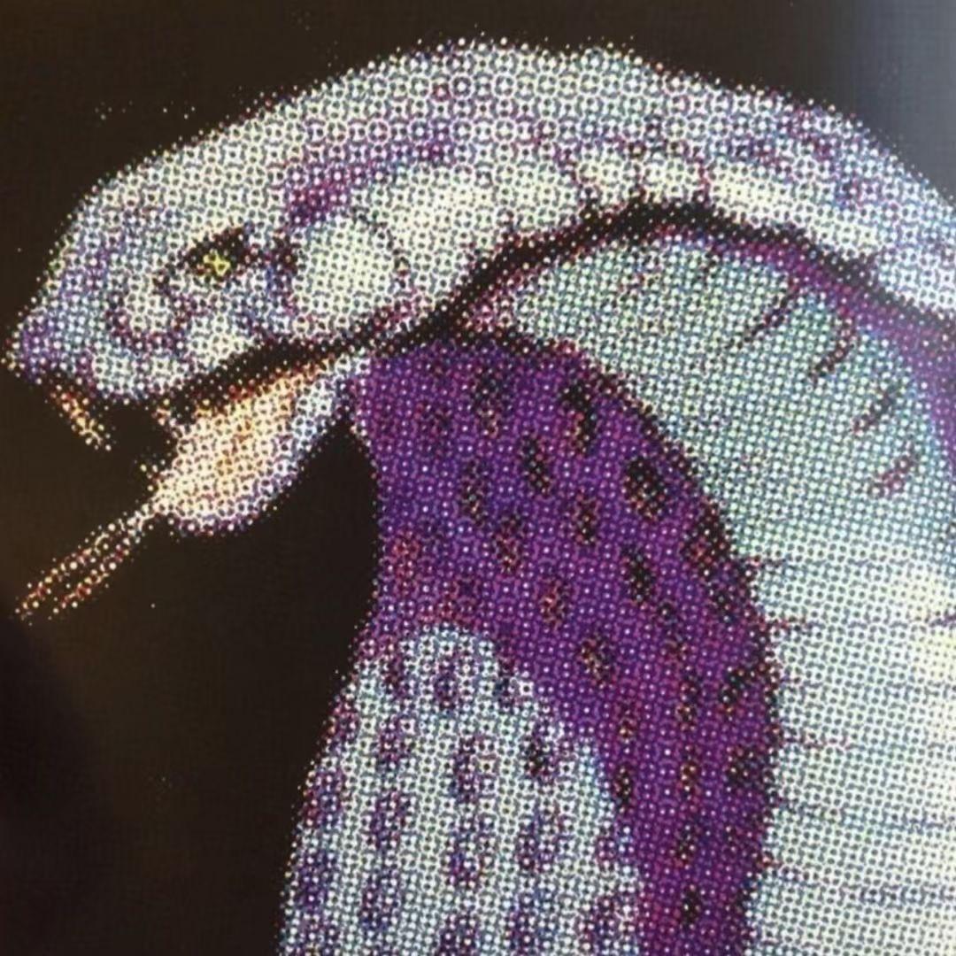 火锅讨厌南冰洋