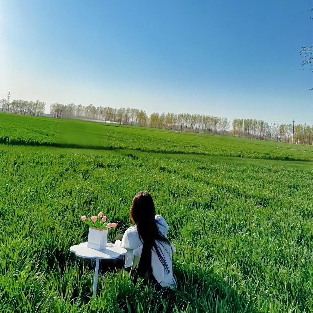 CC不吃菠菜~