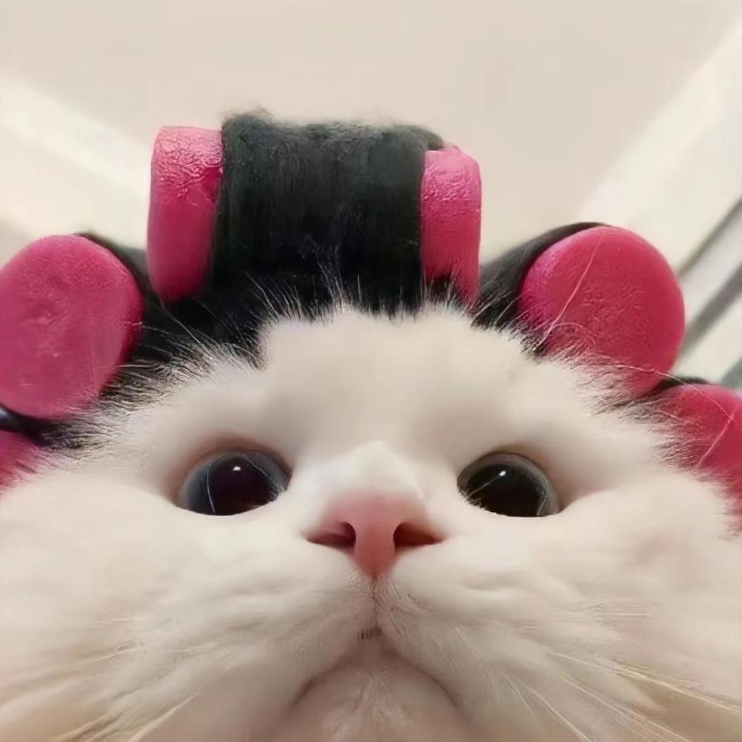 玉米妻🐾