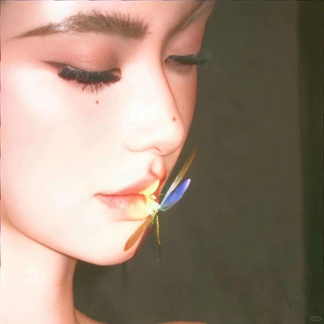 奥利奥很傲🦥
