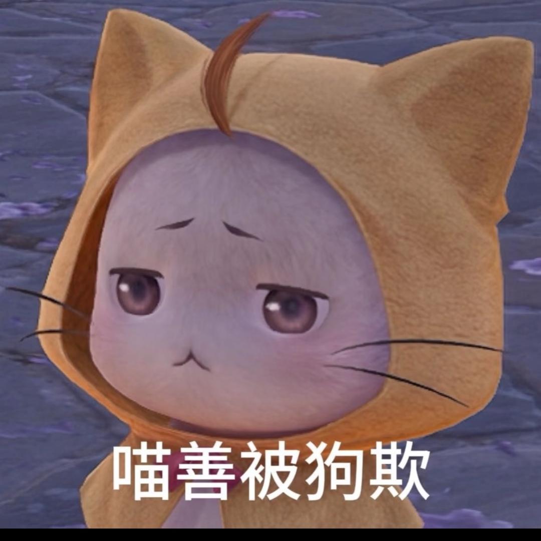 都是大喵的错❓