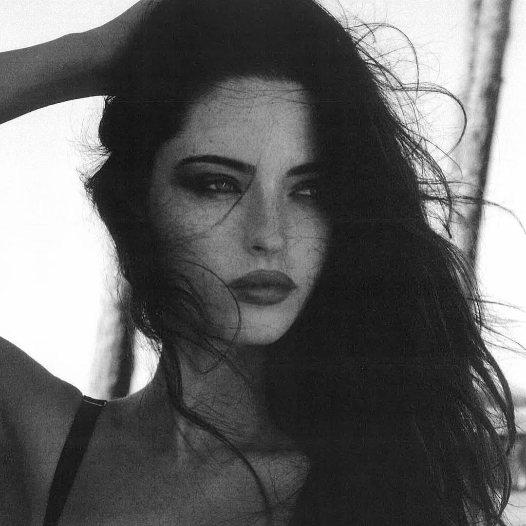 海南小家电外贸