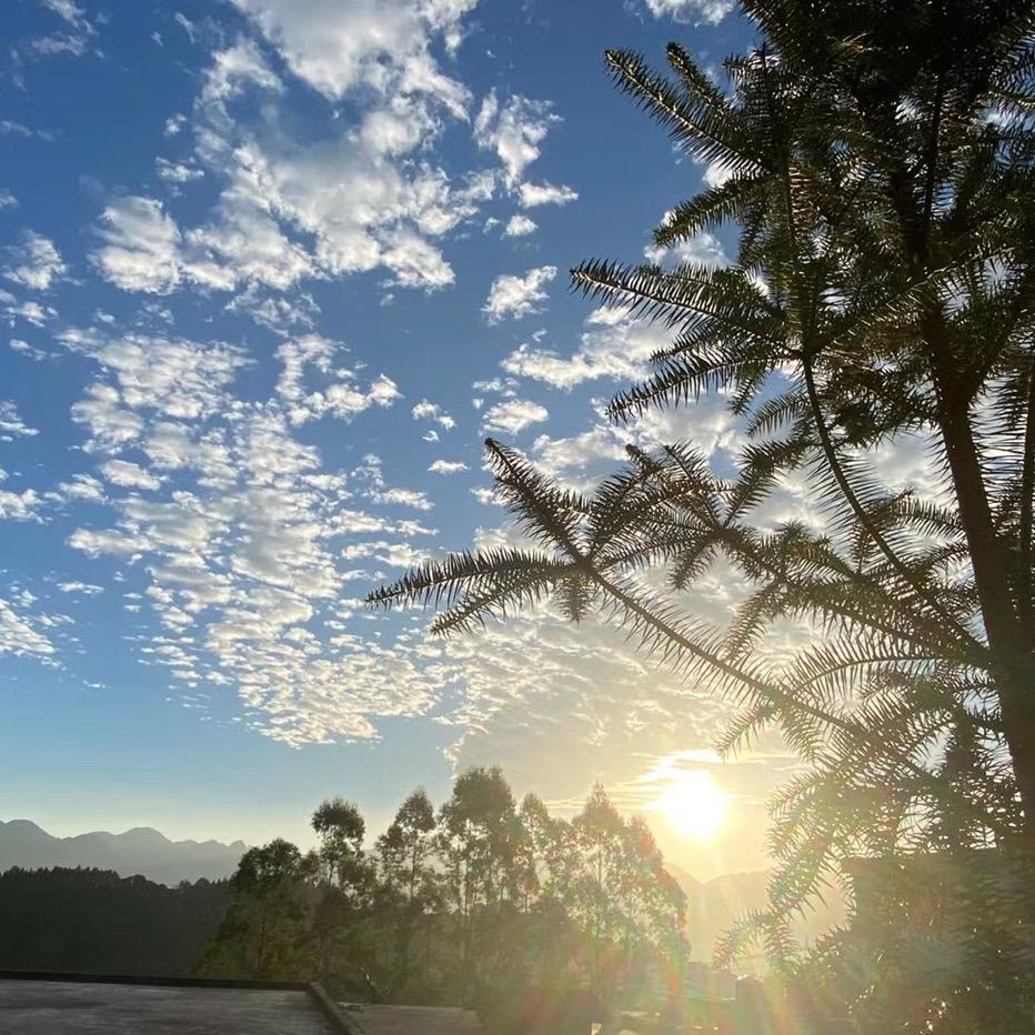 🌈一切安好皆是福