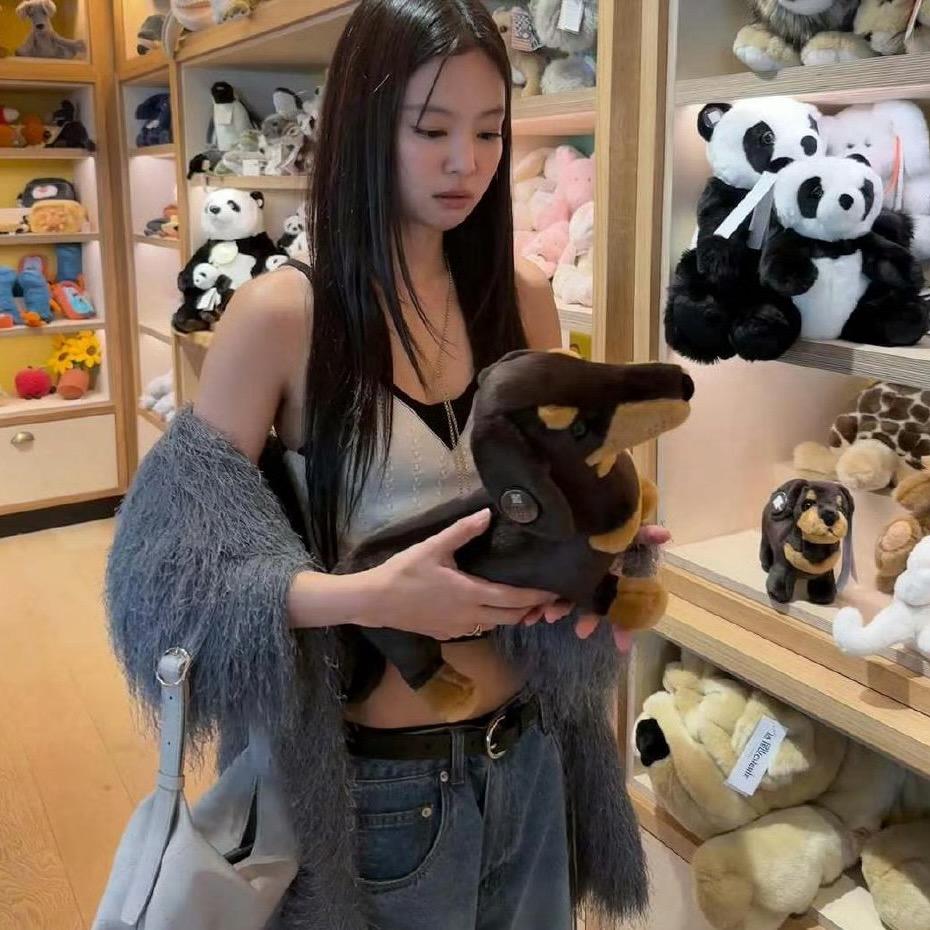 是猫不是狗