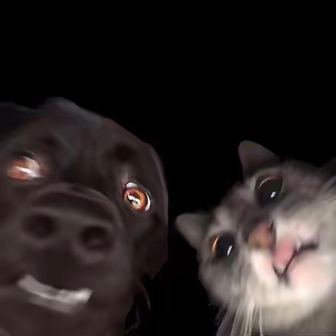 🦦
