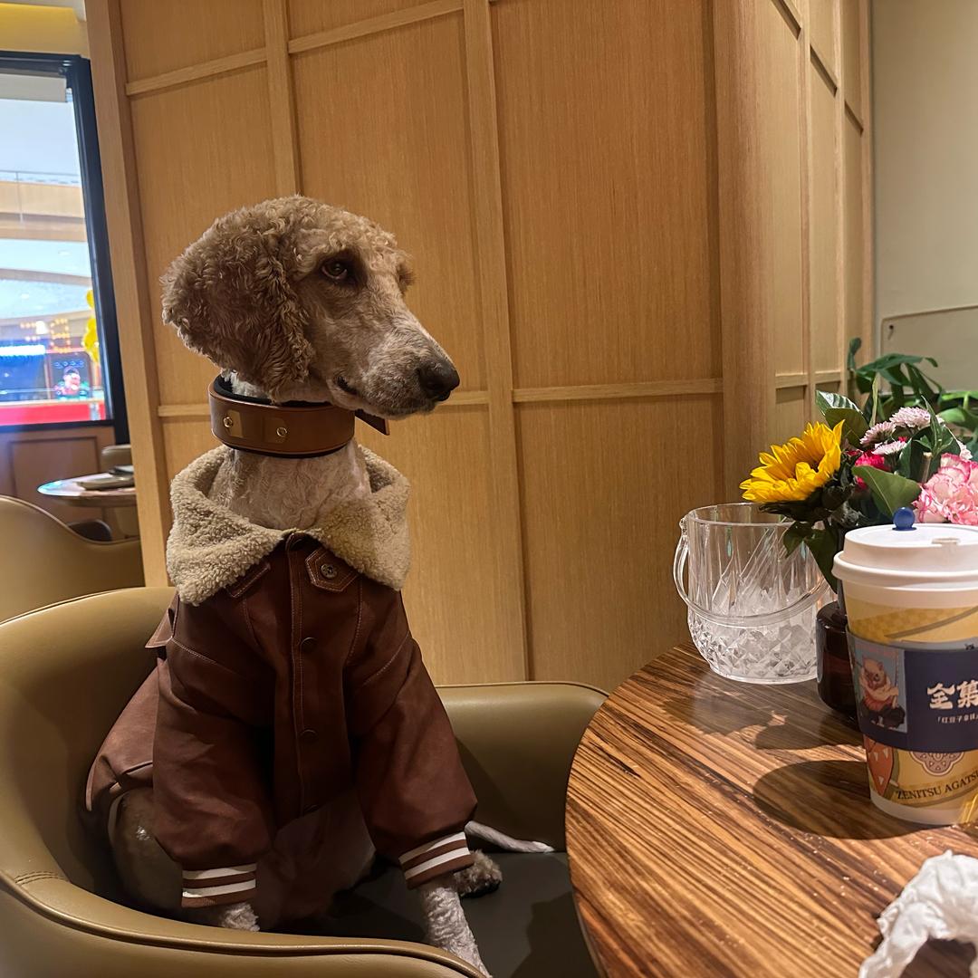 ღ꧁居里夫人꧂ღ