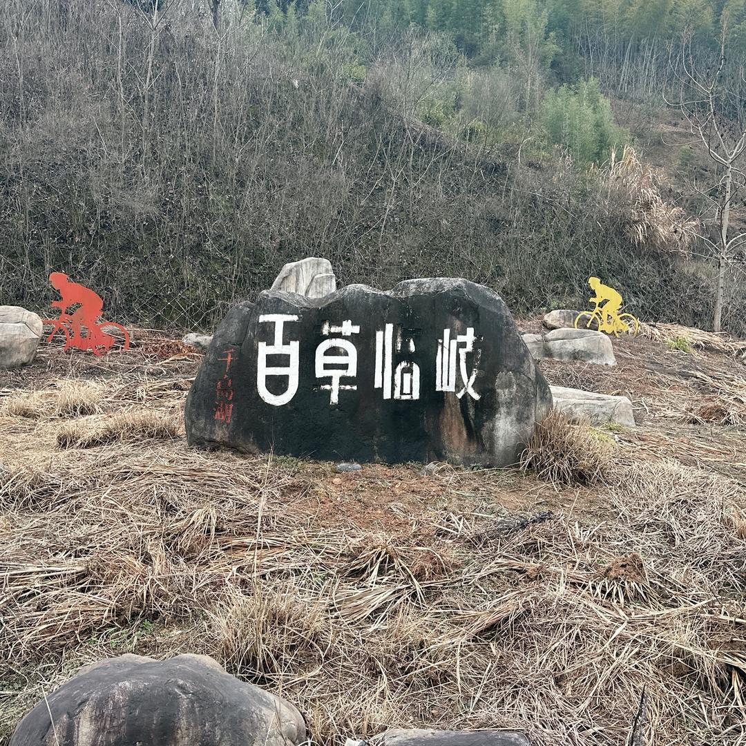 岐山草(岐鲁氏)