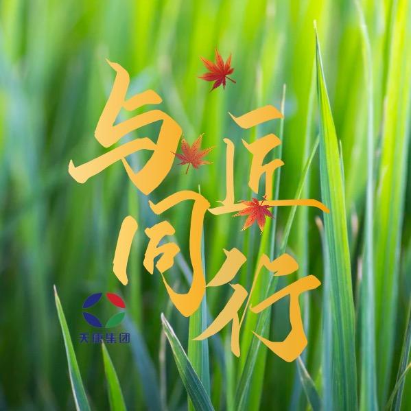 与匠同行