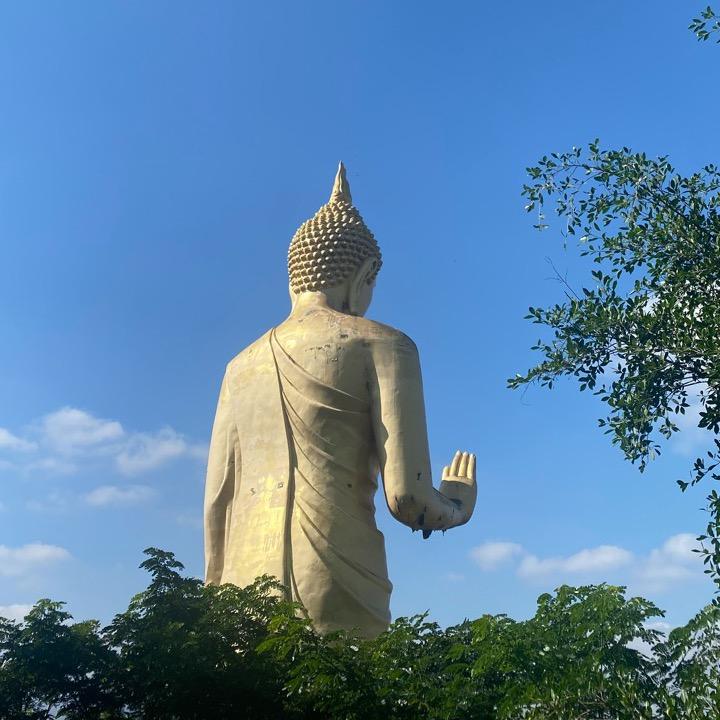 泾桥五蛋蛋（放手一搏)