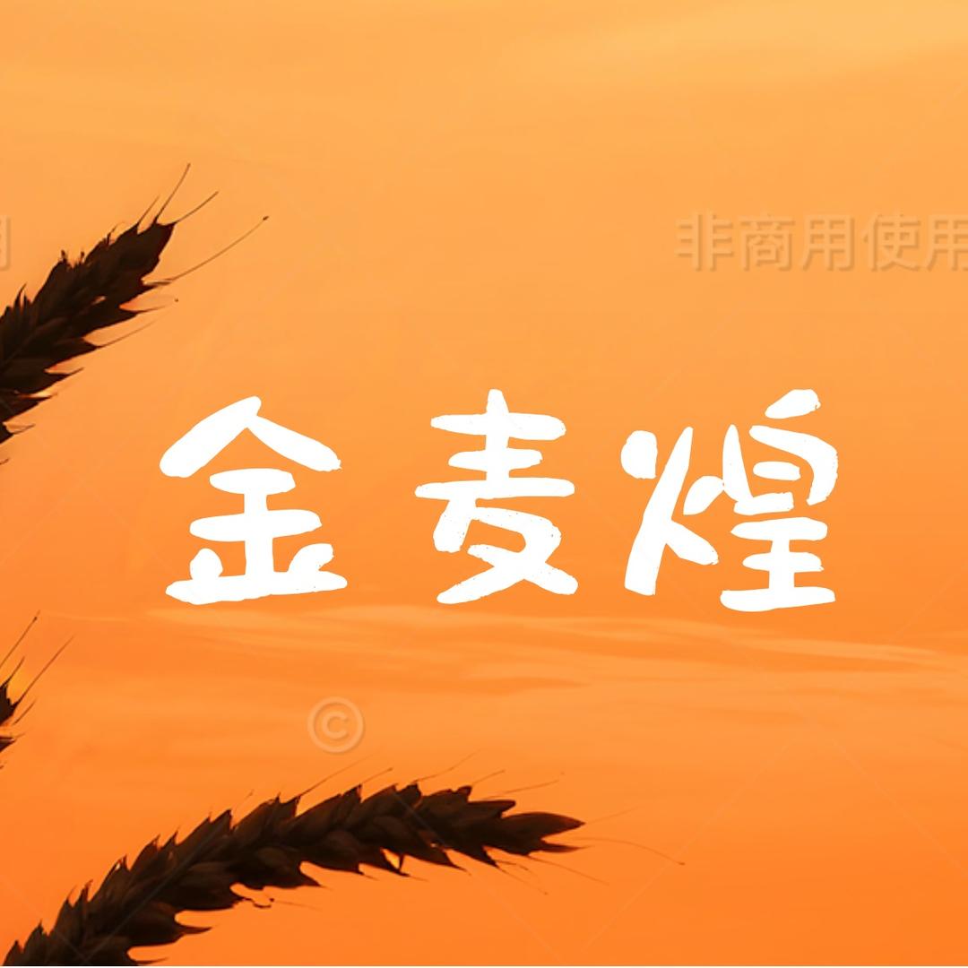 金麦煌돈이있다