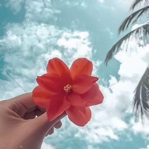 小天使