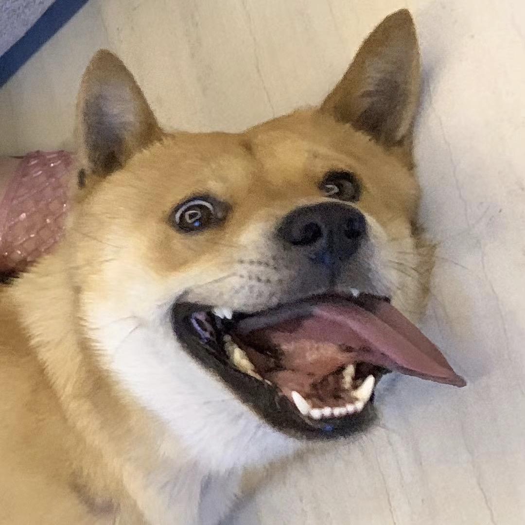 阿吉