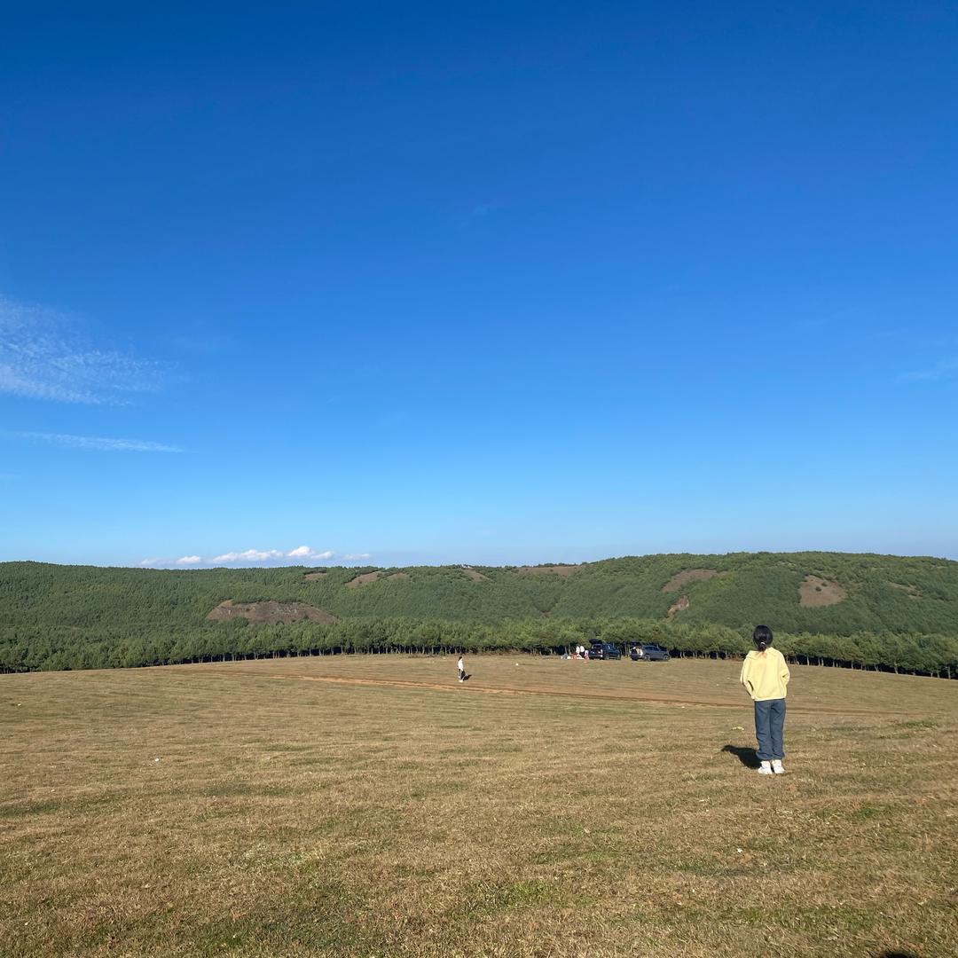 吴家姑娘（吴所谓）