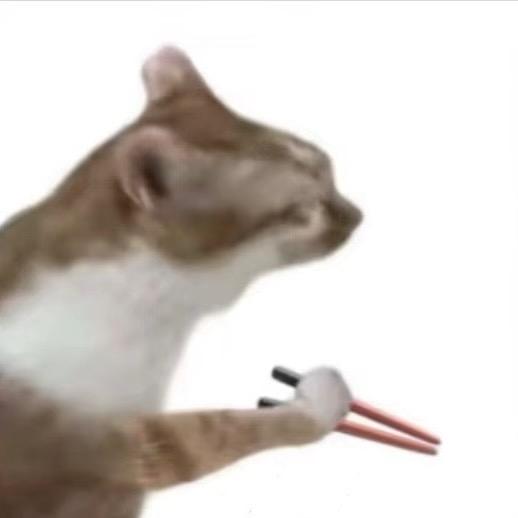 盖工搞咒语去了