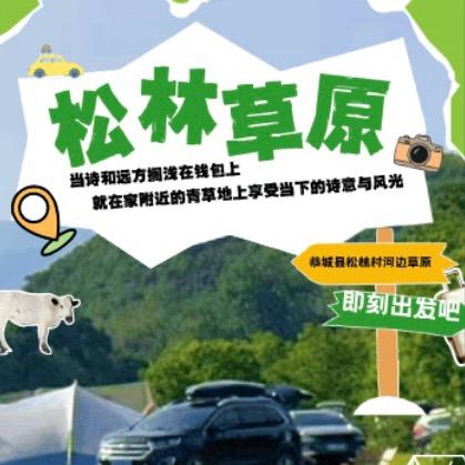 松林打卡点