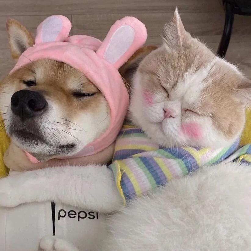 娜宝宝