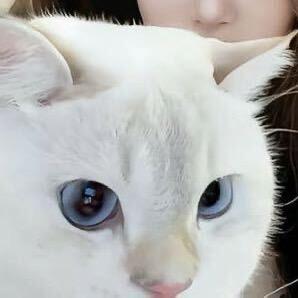 小也（长沙组局）