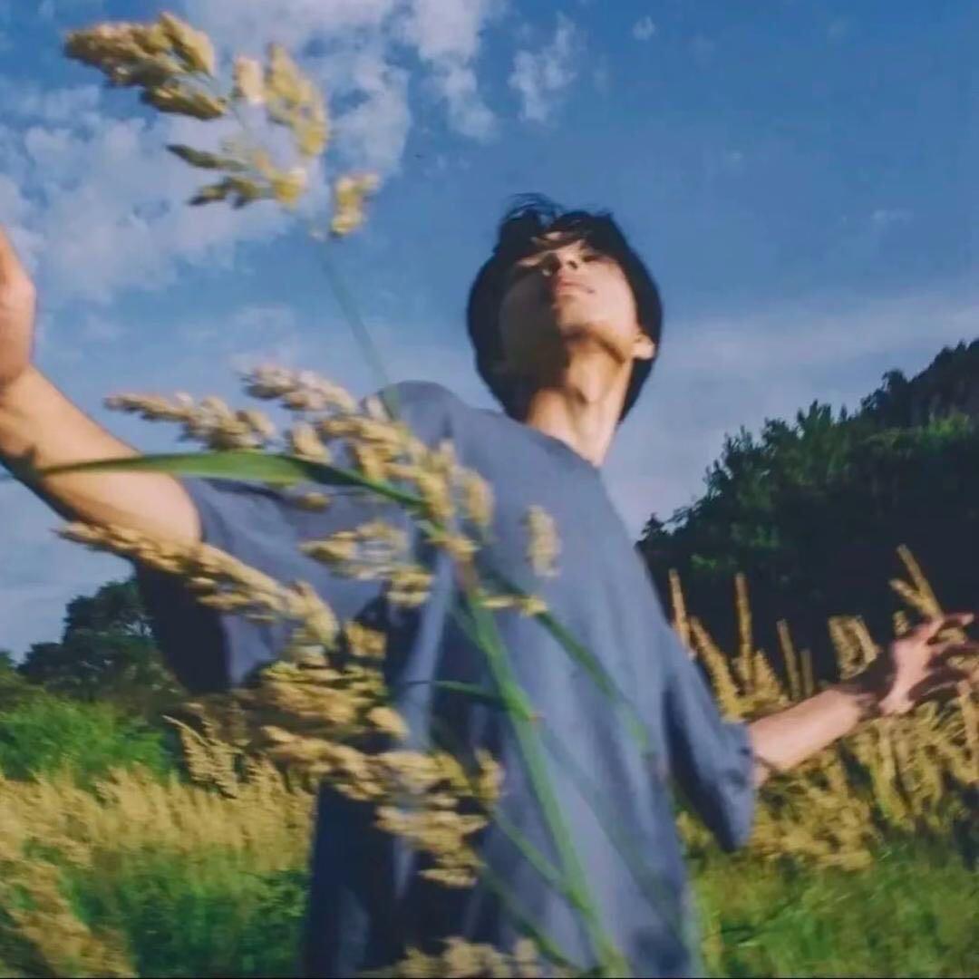 芙蓉王的王