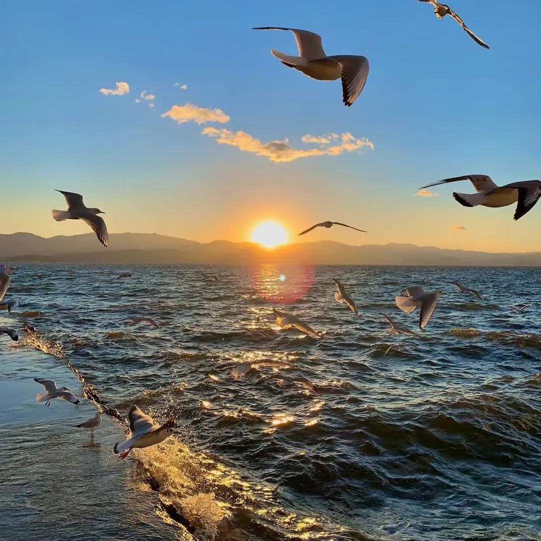 @罐头（日常穿搭）