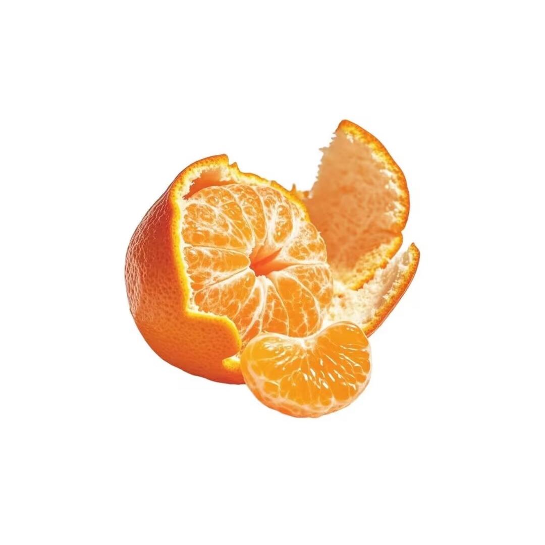 小候的美好生活