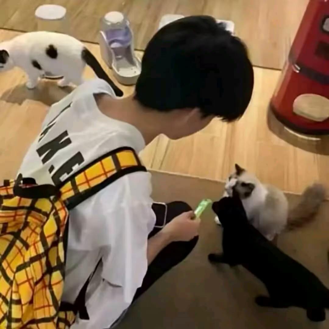 再多睡五分钟💤