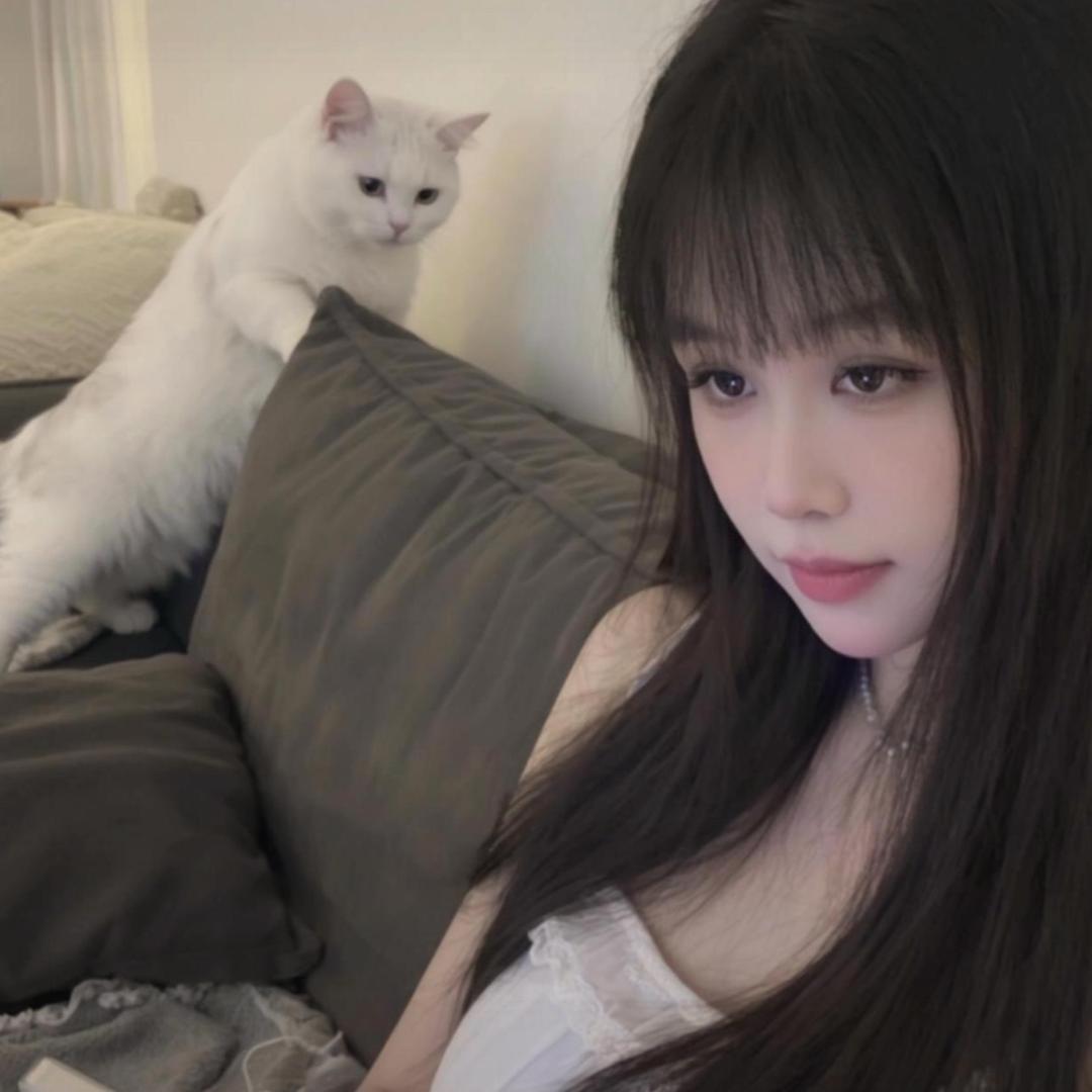 睡不醒ᙆ  z  𝙕